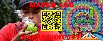 стаф Коммунар