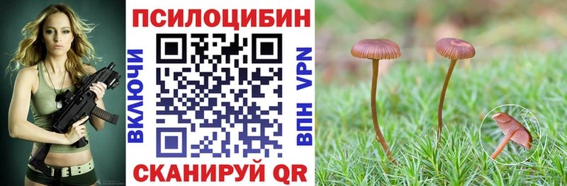 Галлюциногенные грибы Psilocybe  mega ССЫЛКА  Каменск-Уральский 