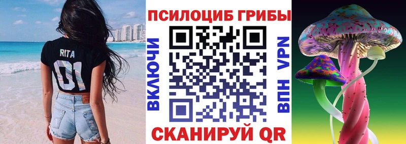 Галлюциногенные грибы Psilocybe Каменск-Уральский