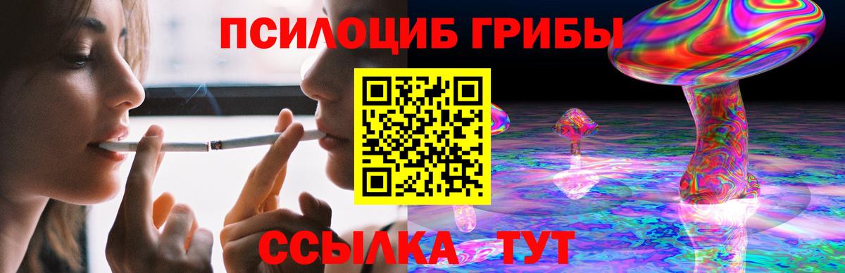 Псилоцибиновые грибы GOLDEN TEACHER  Вход с VPN  Псилоцибиновые грибы Cubensis  Каменск-Уральский 